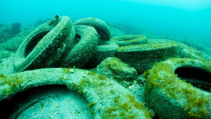 Toxic reefs. 2 million tires flooded in Florida, what happened to them 50 years later (6 photos)