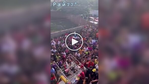 Сбежавший бык устроил хаос на карнавале в Бразилии