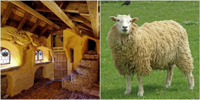 An English farmer spent 11 years building a castle for his sheep (13 photos)