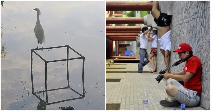 15 photo examples of the fact that you can argue with gravity - and eventually lose (16 photos)