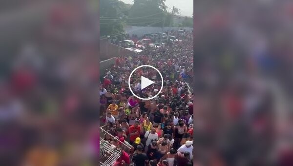 A cow causes chaos in the crowd at a carnival